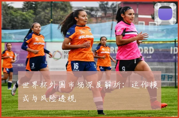 世界杯外围市场深度解析：运作模式与风险透视