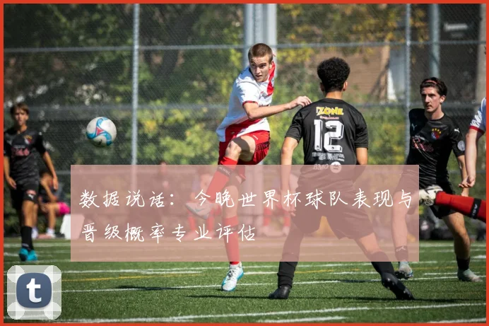 数据说话：今晚世界杯球队表现与晋级概率专业评估