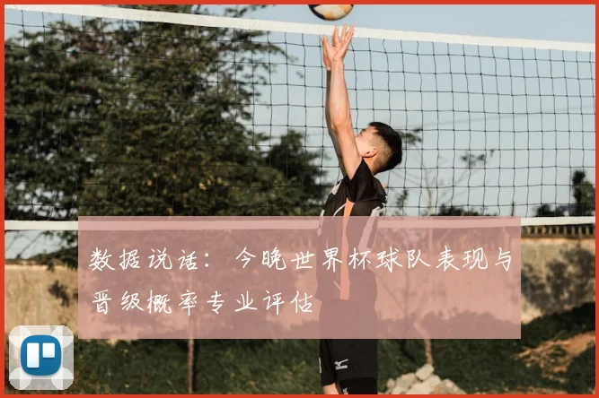 数据说话：今晚世界杯球队表现与晋级概率专业评估