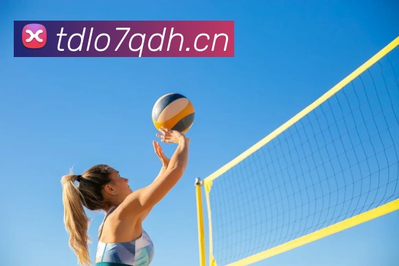 星空官网首页入口APP 封面图